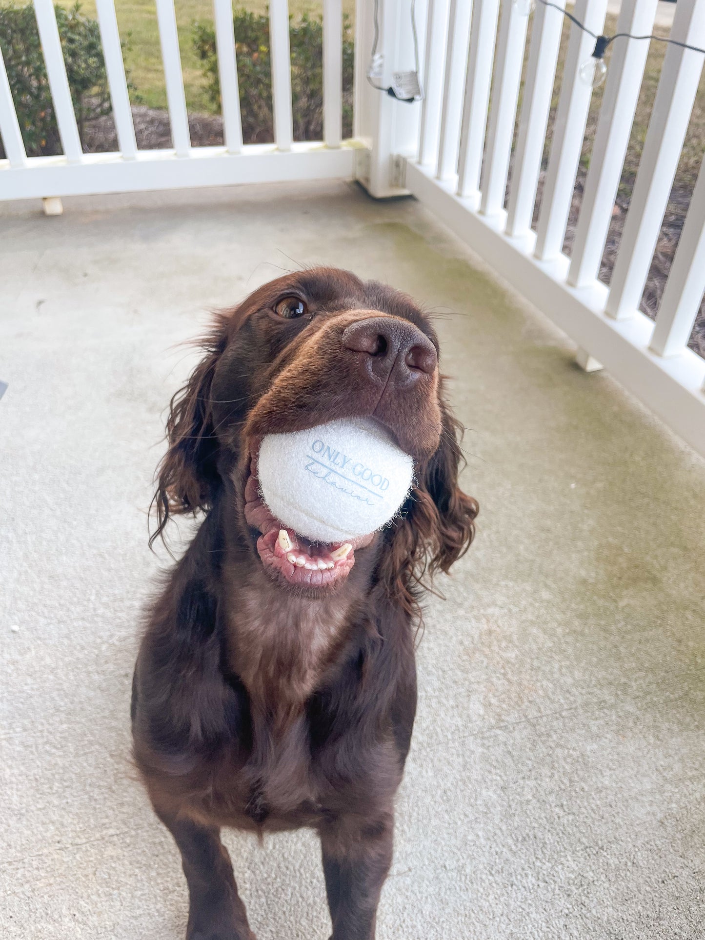 Tennis Ball