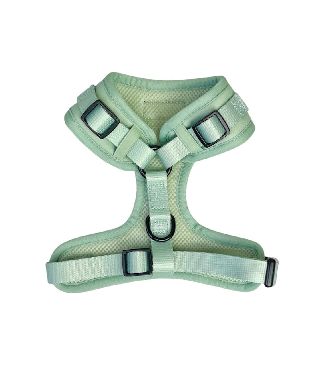 Adjustable Harness - Sage