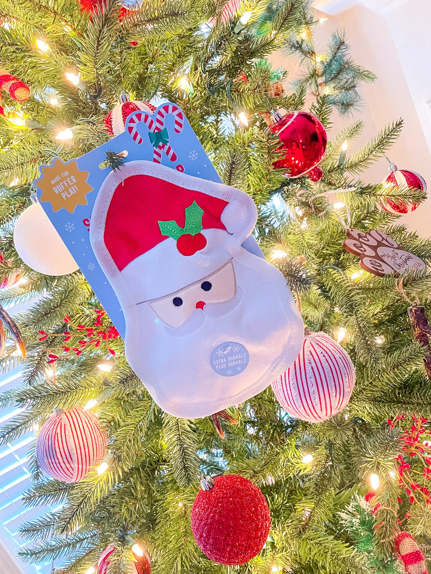 Santa Paw