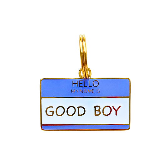 Dog Tag - Hello My Name is Good Boy